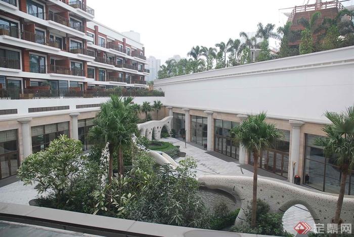 酒店,景墙棕榈,棕树