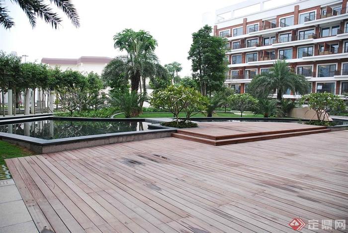 景观水池,木平台,木板铺装,乔木棕榈,棕树