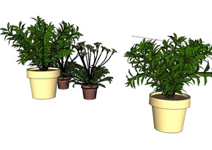 一组盆栽花卉植物设计SU(草图大师)模型