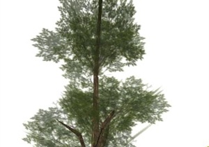 一棵乔木树池设计SU(草图大师)模型