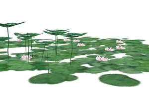 睡莲植物设计素材SU(草图大师)模型