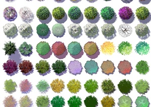 多棵植物彩平设计PSD图