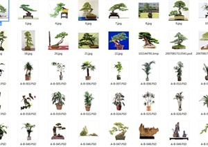 65款盆景植物设计PSD图与JPG图