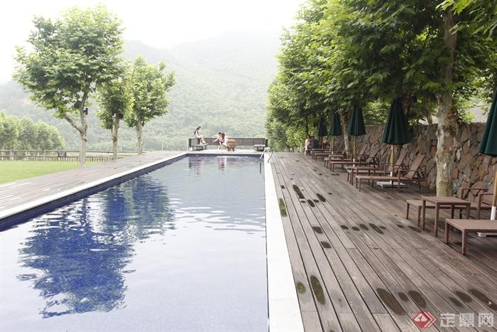游泳池景观,木地板,休闲桌椅,景观树