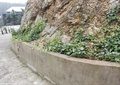 园路,矮墙,山体,藤蔓植物