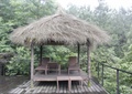 茅草亭,桌凳,地面铺装,栏杆,景观树