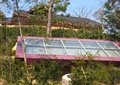 玻璃天窗,水钵,景观植物