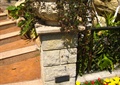 花钵,矮墙,台阶,景石,花卉植物,铁艺栏杆