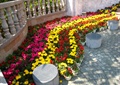 石凳,花卉盆景,石栏杆,景墙
