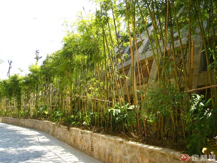 竹林,种植池,矮墙,园路竹子