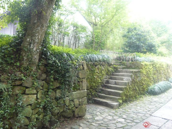 石墙,矮墙,石台阶,地面铺装,景观树,村庄景观