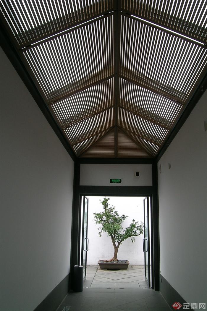 廊架,廊顶,推拉门,玻璃门,盆景植物