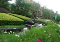 花卉植物,喷泉水景,天鹅雕塑