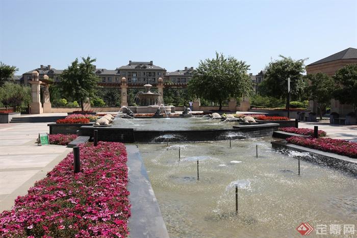 喷泉水池景观,种植池,花卉植物,景观柱,住宅景观石竹