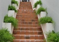 台阶,踏步,地面铺装,种植池,住宅景观