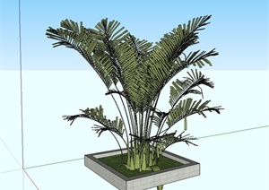 棕榈树池设计SU(草图大师)模型