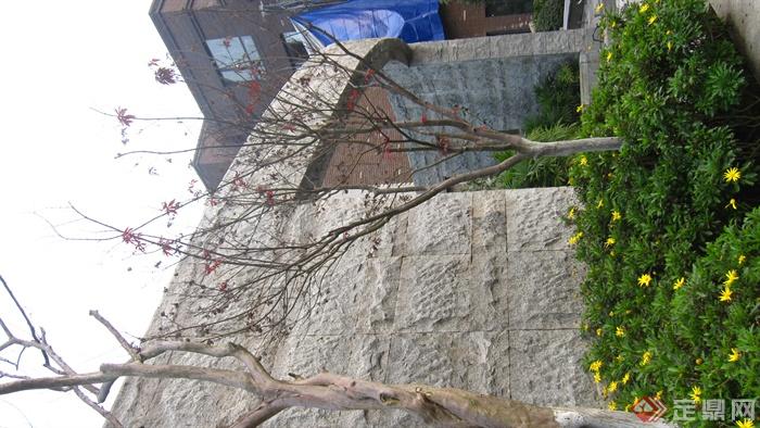 石门廊,石墙,景观树,花卉植物,住宅景观黄冠菊