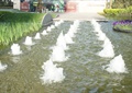 喷泉水池景观,水生植物,喷泉水池,树池,花卉植物,住宅景观