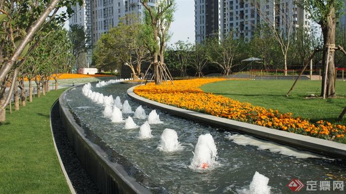 喷泉水池景观,花卉植物,草坪,景观树,住宅景观万寿菊