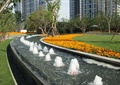 喷泉水池景观,花卉植物,草坪,景观树,住宅景观
