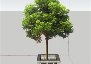 公园树池坐凳、树池设计SU(草图大师)模型