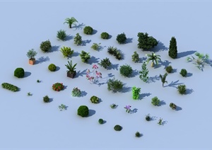 植物素材单体设计3DMAX模型