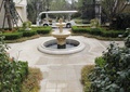 喷泉水池景观,地面铺装,花卉植物,灌木丛,住宅景观