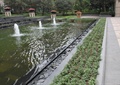 喷泉水池景观,水沟,种植池,草本植物,住宅景观