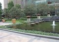 喷泉水池景观,种植池,地面铺装,花钵,景观树,住宅景观