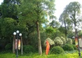 路灯,灌木丛,景观树,住宅景观