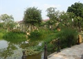 铁艺栏杆,水池景观,水生植物,景石,住宅景观
