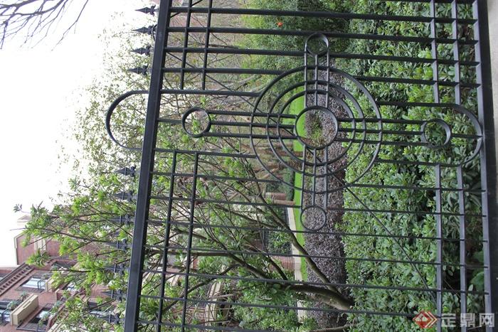 铁艺围栏,景观树,住宅景观