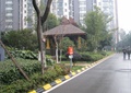园路,标示牌,亭子,景观树,住宅景观