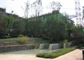 水池景观,矮墙,地面铺装,种植池,住宅景观