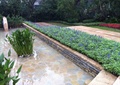水池景观,水生植物,种植池,花卉植物,地面铺装,住宅景观