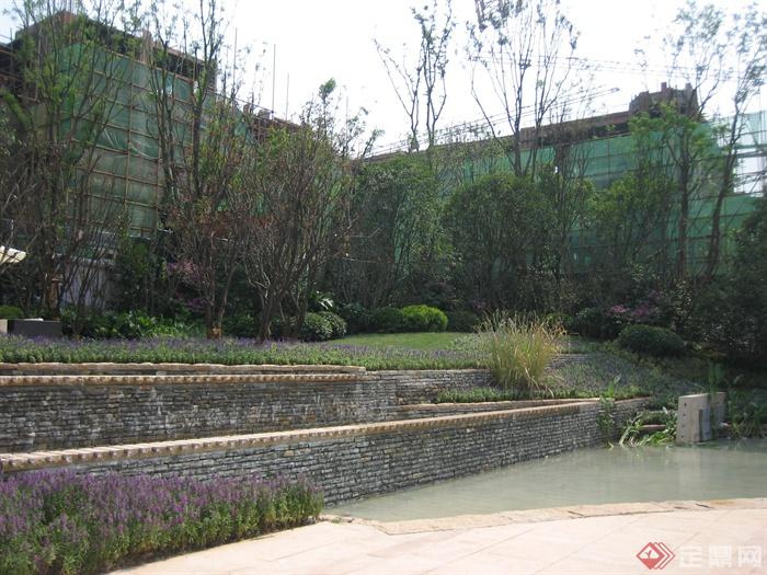 台阶式水景,矮墙,景观树,花卉植物,种植池,地面铺装,住宅景观鼠尾草