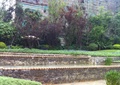台阶水景,景观树,红砖墙,住宅景观