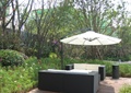 阳伞,桌椅,地面铺装,花卉植物,景观树,庭院景观