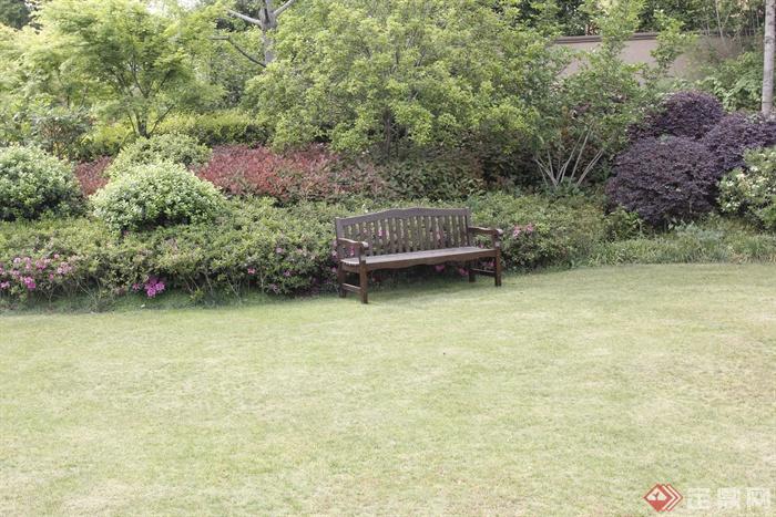 椅子,草坪,灌木球,景观树,住宅景观