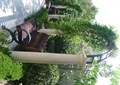 花架,庭院灯,椅子,景观树,住宅景观