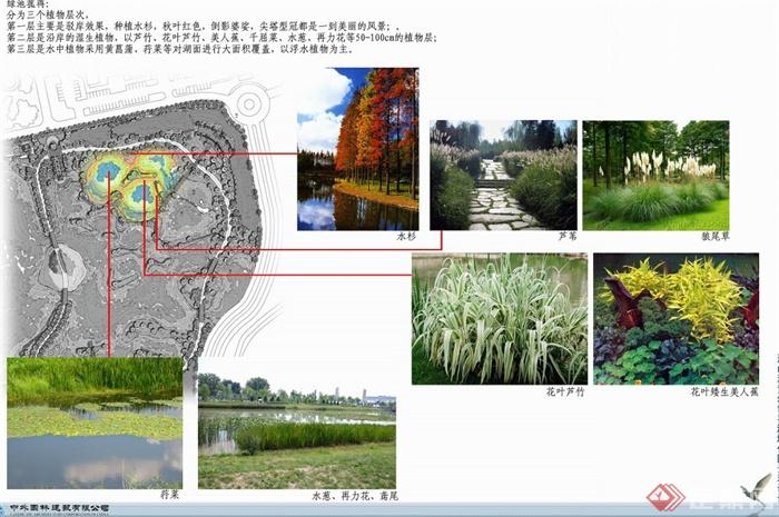 某地洋山湖梦幻世界湿地公园景观深化设计高清JPG文本(5)