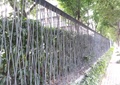 围栏,铁艺栏杆,树池,花池,地面铺装