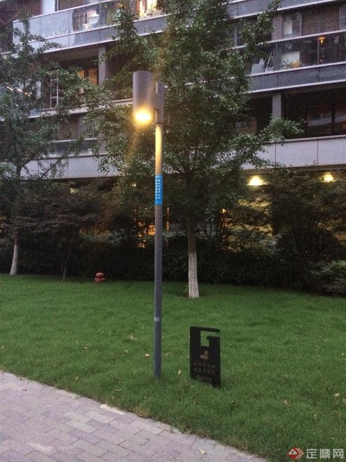 路灯,路灯柱,草坪,标示牌银杏