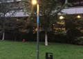 路灯,路灯柱,草坪,标示牌