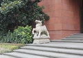 动物雕塑,台阶,景观树,住宅景观