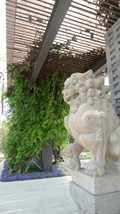 狮子雕塑,廊架,花架,树池