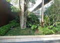 种植池,庭院灯,景观树,灌木丛,松鼠雕塑,灯柱