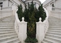 台阶,栏杆,景观树,住宅景观