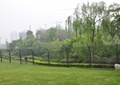 草坪景观,围栏栏杆,乔木灌木