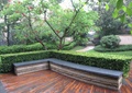 石凳,灌木丛,木平台,乔木植物